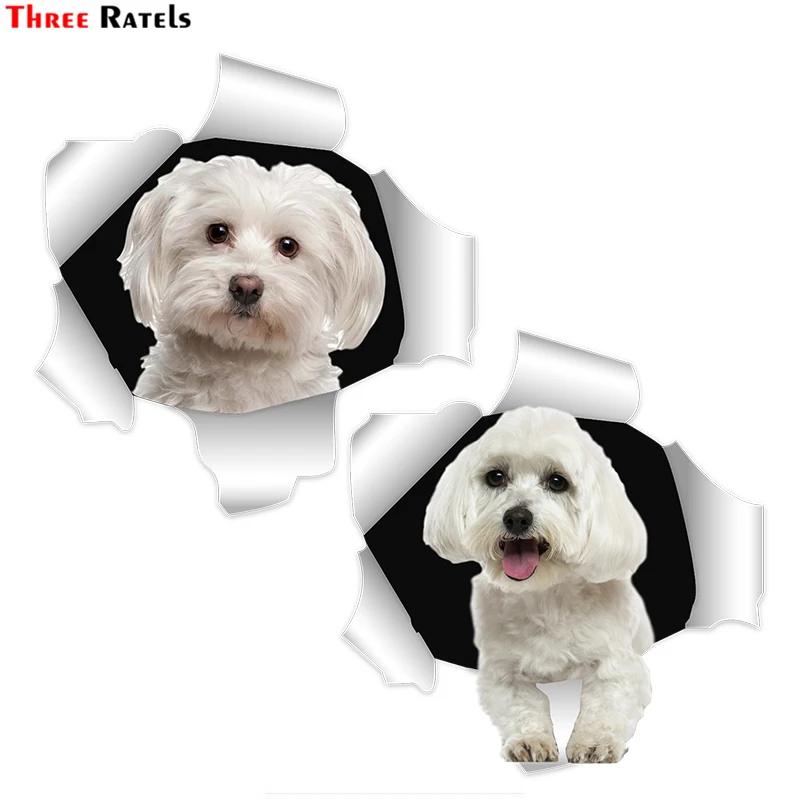 

Three Ratels FC896 Maltese Dog Malta Puppy custom car sticker gift stickers Auto accessories school decals laptop decal