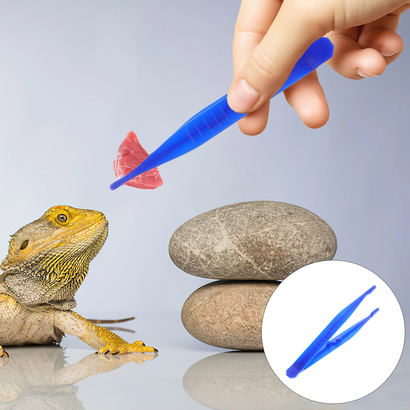 

6 Pcs Lizard Pet Feeding Tools Reptile Gecko Reptiles Tongs Blue Tweezers Snake