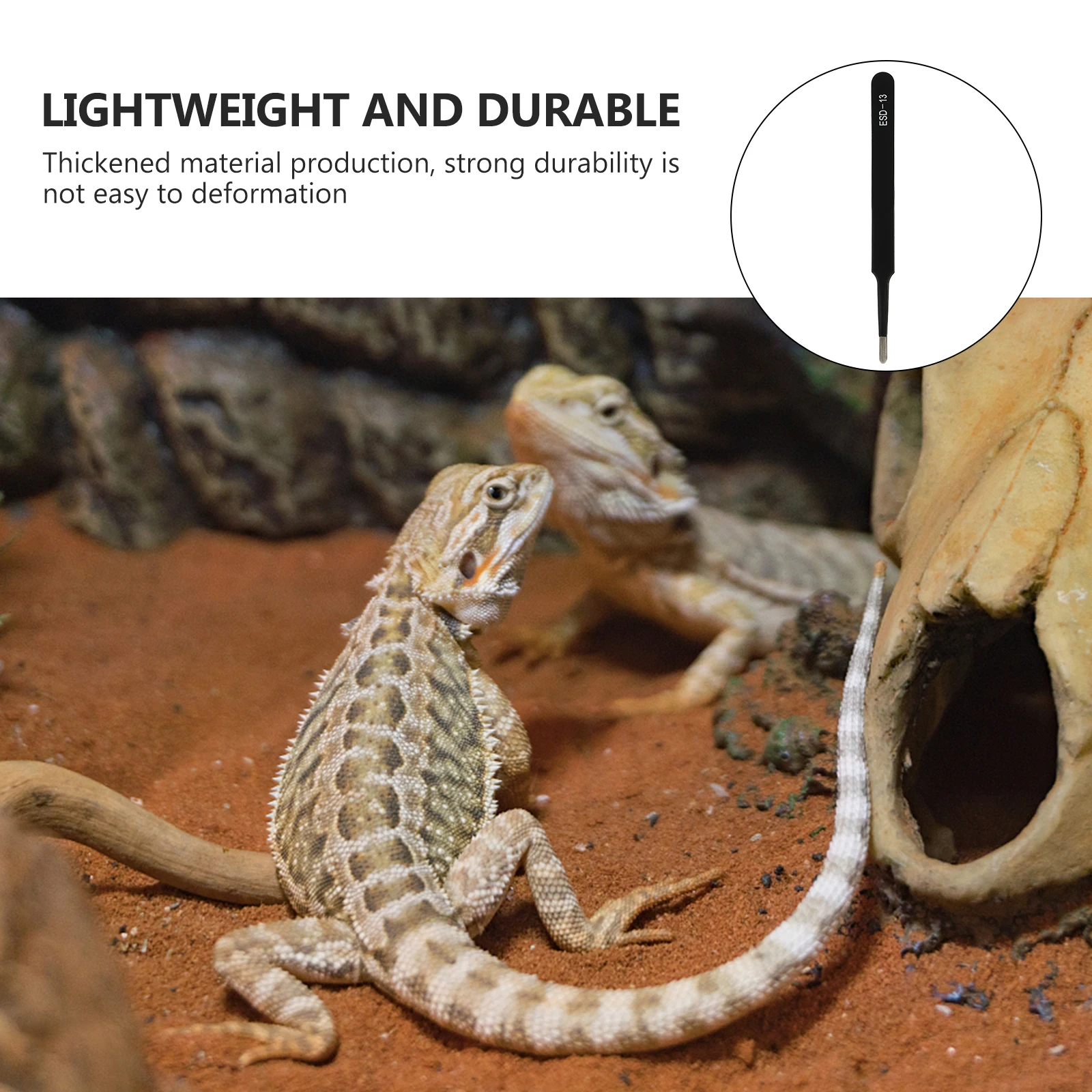 

Stainless Steel Reptile Feeding Tweezers Round Tip Design Smooth Burr-Free Anti-Rust Lizard Turtle Scorpion Spider Food Tool