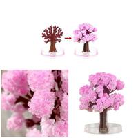 Magic Growing Tree Paper Sakura Crystal Trees Desktop Cherry Blossom Toys