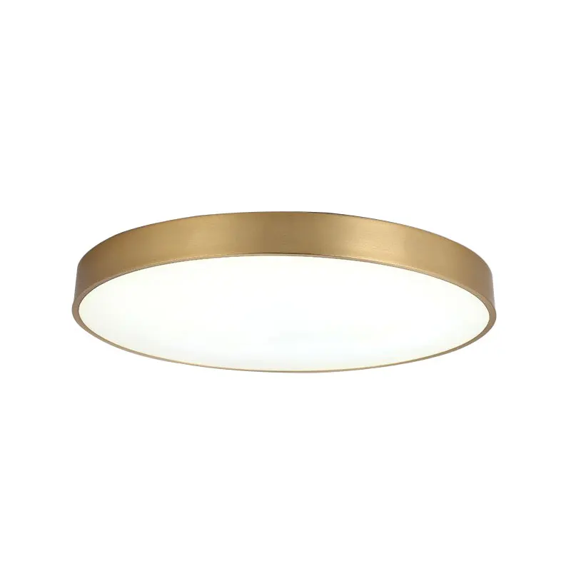 Modern LED Ceiling Light Lamp Simple Golden Round For Bedroom Corridor Garage Cloakroom Aisle Balcony Study Lighting Fixtures