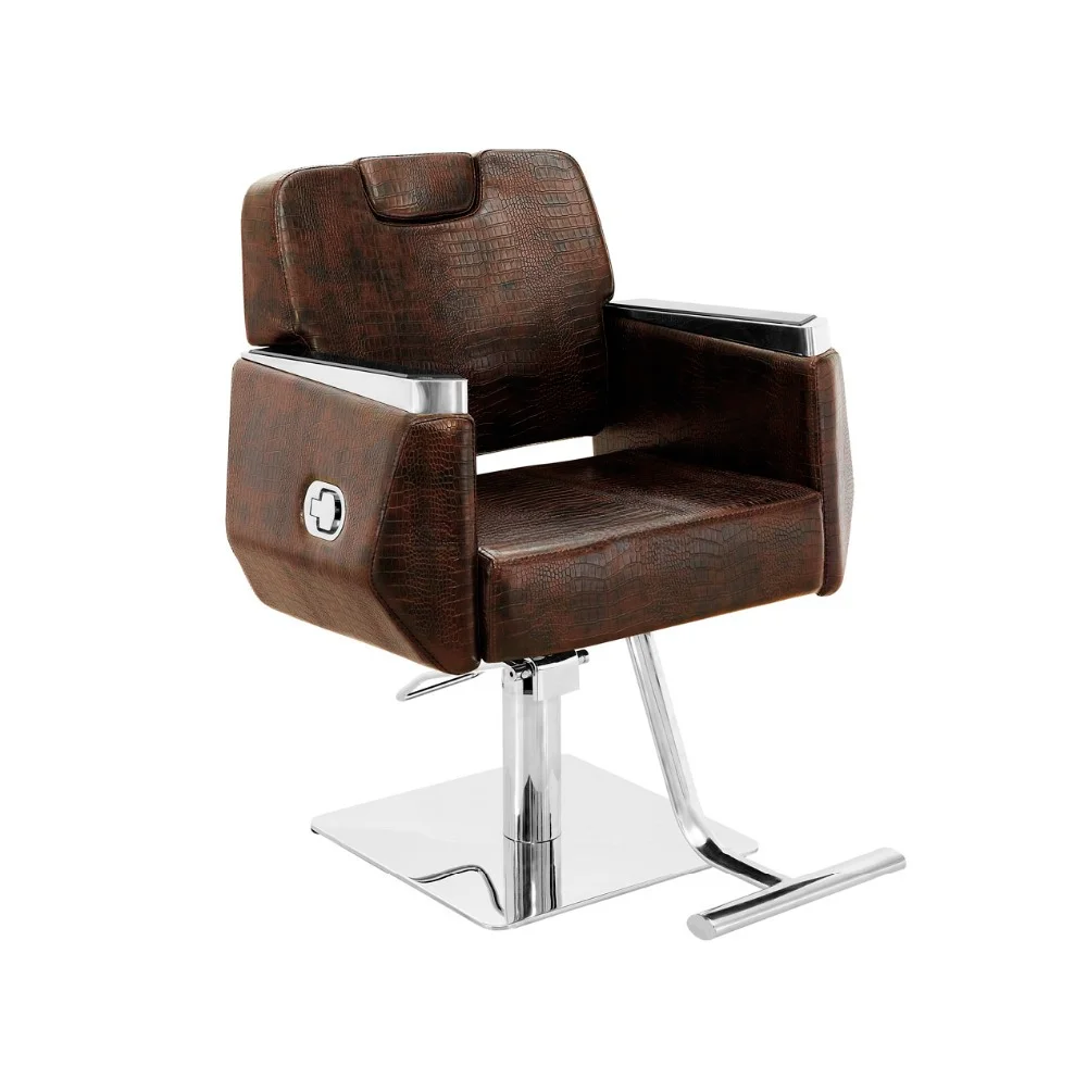 Hydraulic Brown Recline Unique Salon Styling Chairs