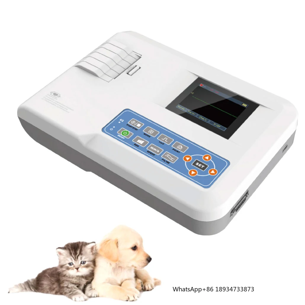 Machine portable d'électrocardiographie numérique complète pour animaux, vétérinaire, déterminer