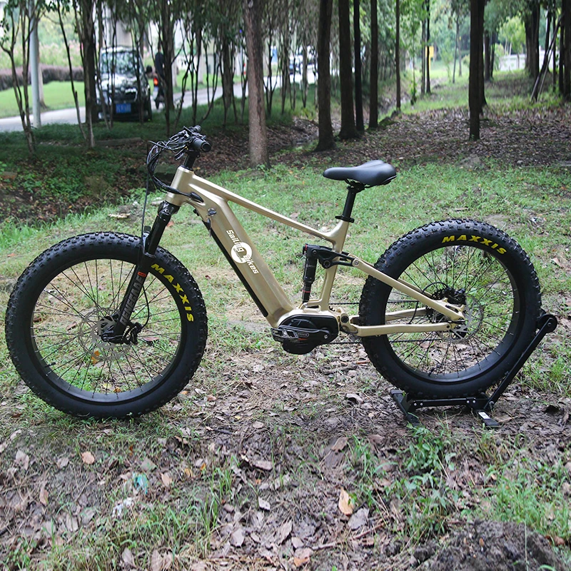 Outdoor Cycling Road Electric Bike Multipurpose Mountain Ebike