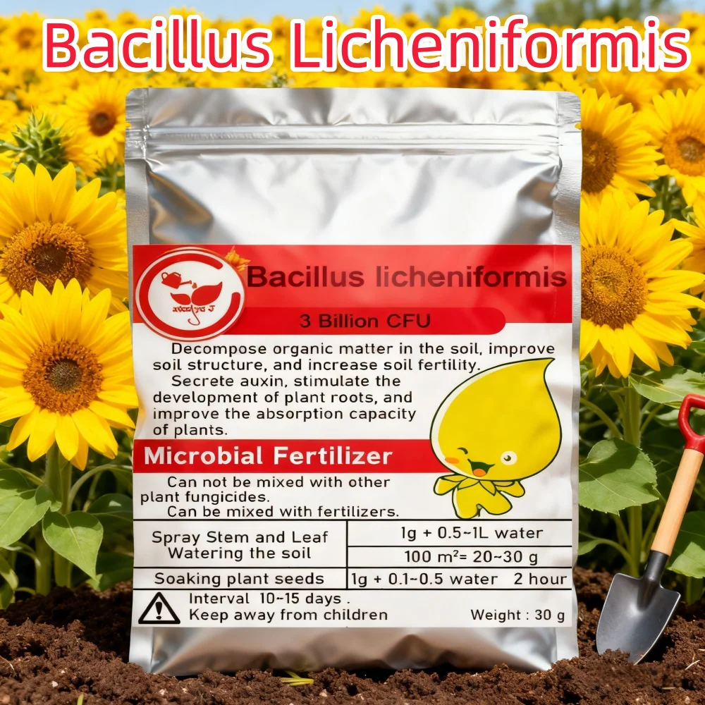 30g Multi-Strain Bacillus licheniformis Microbial Organic Fertilizer Control Agent – For Plant Pathogen Suppression