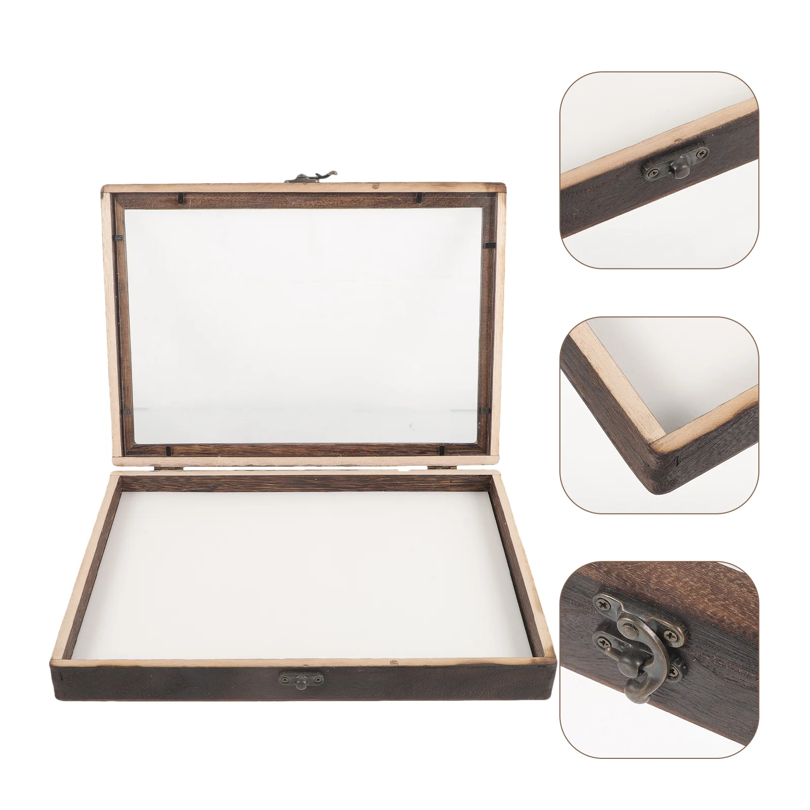 Insect Display Box Pin Case Specimen Frame Peg Board Wooden Acrylic Butterflies Holder