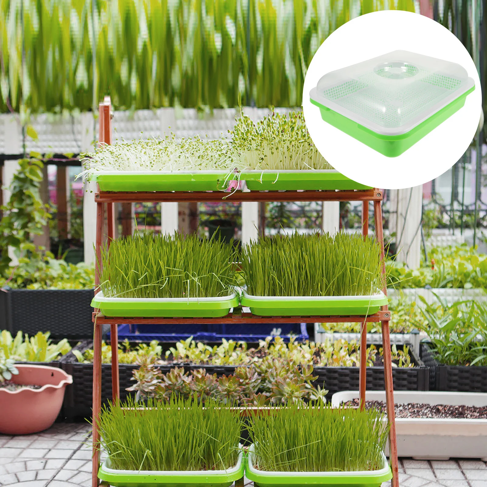 

2Sets Sprout Trays High Quality Germination Kit Starter Tray for Wheatgrass Bean Soybean Mung Growing Garden Supplies