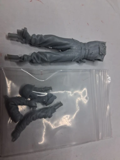 Buyer photo of this resin kit