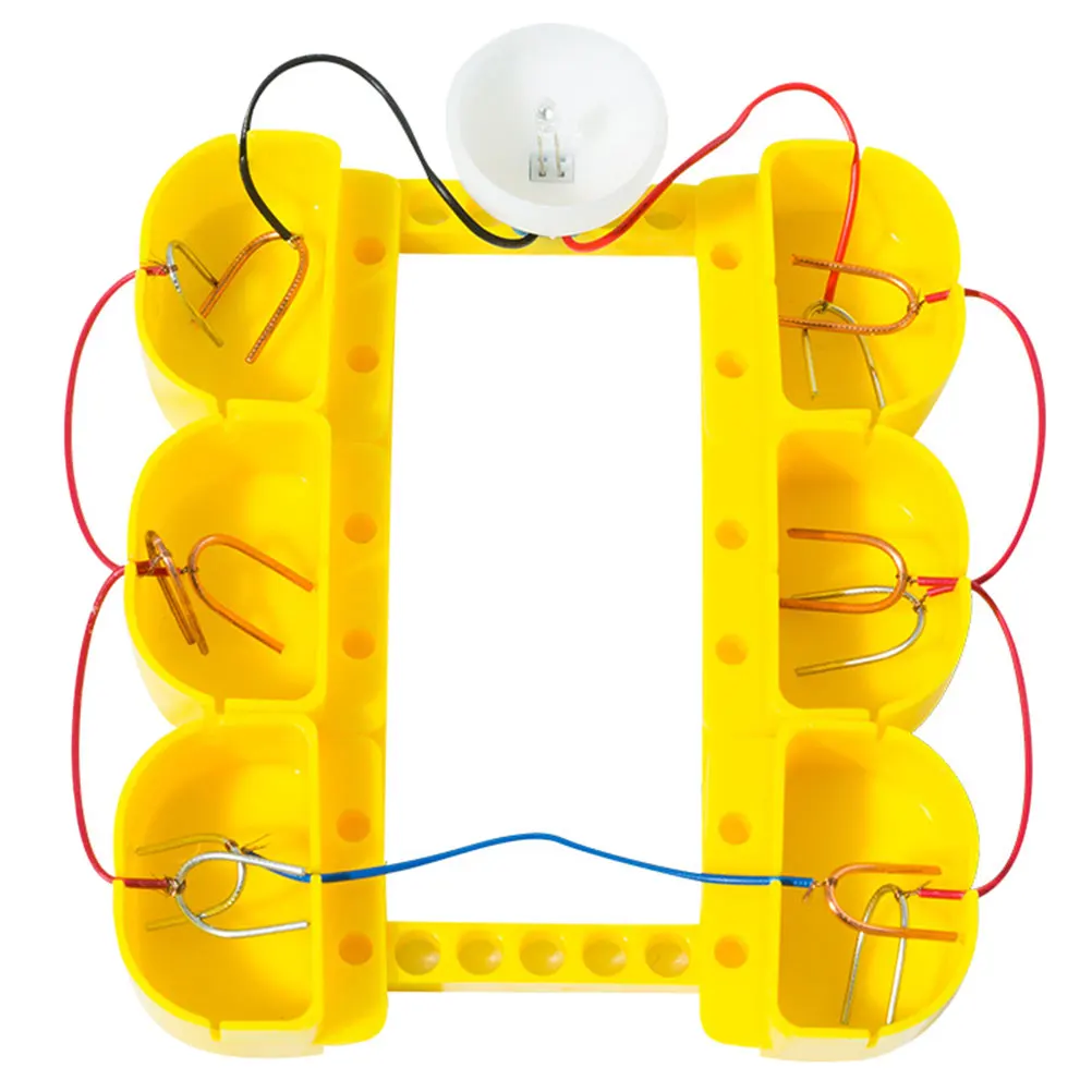 

1 комплект фруктового научного эксперимента, практический генератор электричества, научный проект для учащихся начальной школы