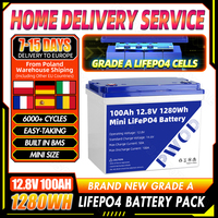 PWOD 12.8V 100Ah Lifepo4 Battery Pack 12V Built In 100A BMS Grade A LFP Cell For RV Solar Home Energy Storage System EU STOCK