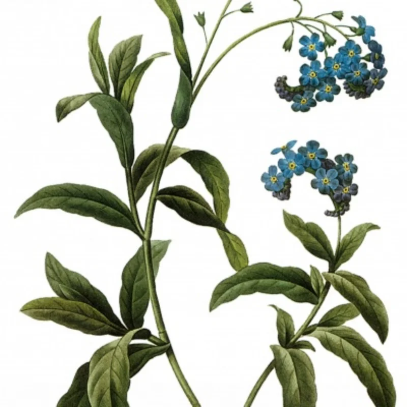 4 pçs 1:10 rc pneus universais para tamiya hpi kyosho arrma 1/10 caminhões pneus acessório rc carro 12-14mm adaptador de pneu de plástico substituir