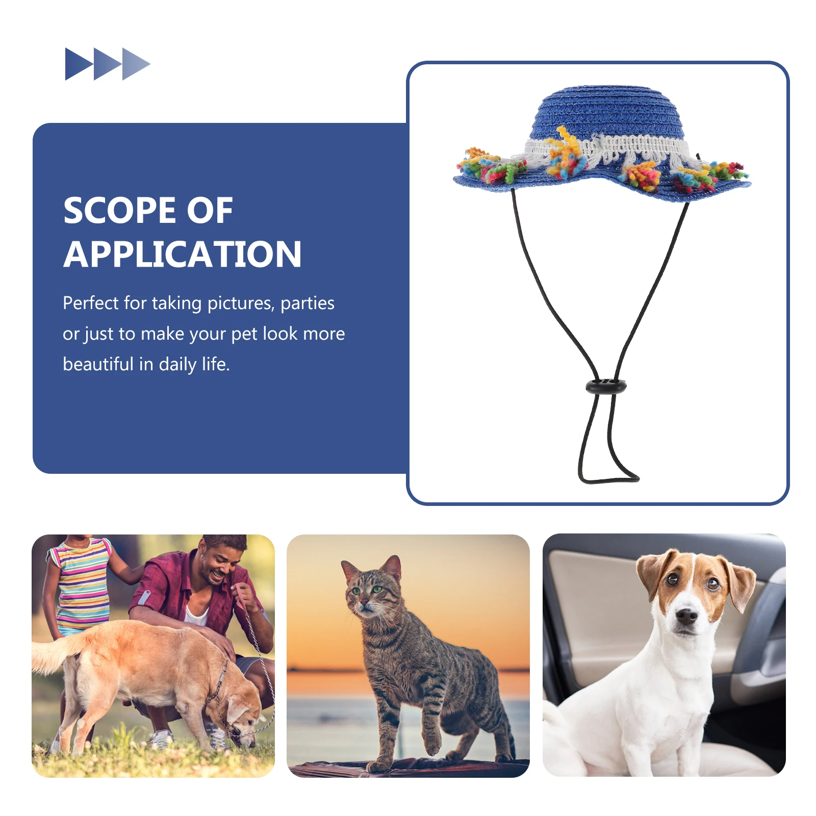 

Has Pet Tassel Straw Hat Summer Sun Protection Decorate Mexican for Dogs Costume Blue Party