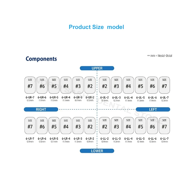 48Pcs/Box SHINHUNG Dental Stainless Steel Permanent Molar C Preformed Metal Crown Temporary Crowns Primary Molar Crowns