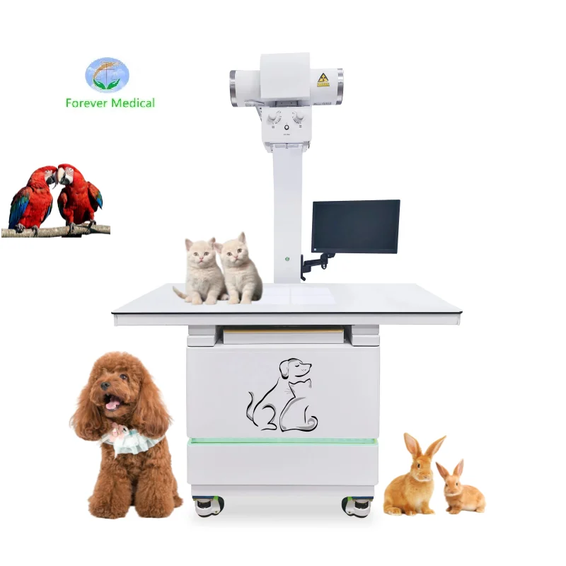 Best Price DR 32kw Animals x-ray fluorescence Vet X Ray System Veterinary Digital X Ray Machine DR for dogs cats