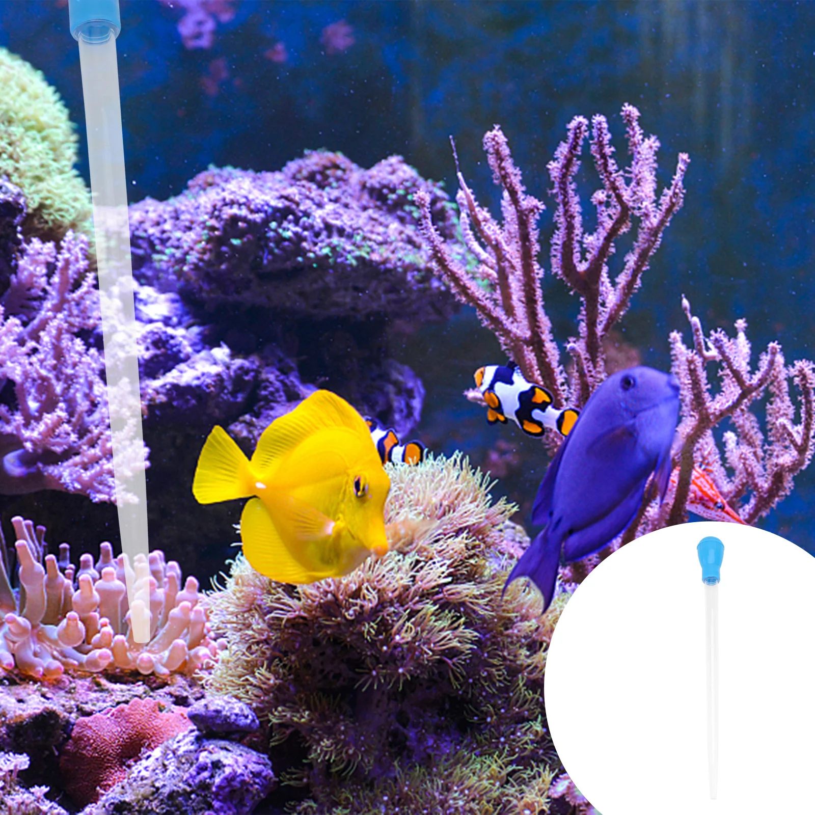 

50Ml Aquarium Clean Pipette Dropper Fish Tank Cleaner Coral Feeder Manual Waste Remover Changer Tool Durable Material Feeding