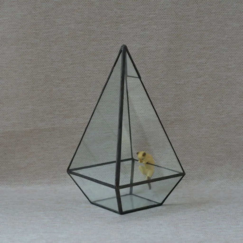 Piramida Przezroczyste szkło Geometryczne pudełko do terrarium Sadzarka na sukulenty Domowy ogród Uchwyt artystyczny Czarny 12 x 12 x 24 cm