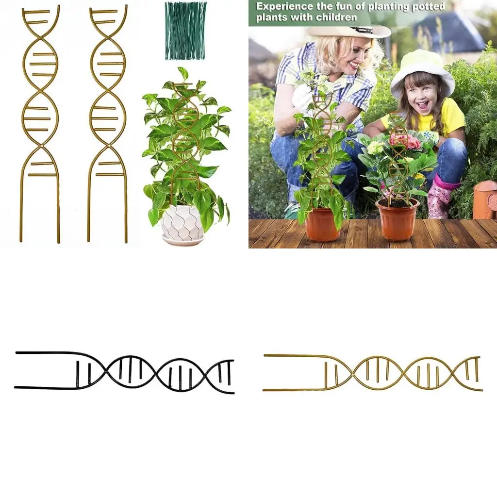 Iron Garden Stake Trellis for Potted Plant Garden Trellis for Climbing Plant Stackable Plant Trellis Indoor Outdoor high quality