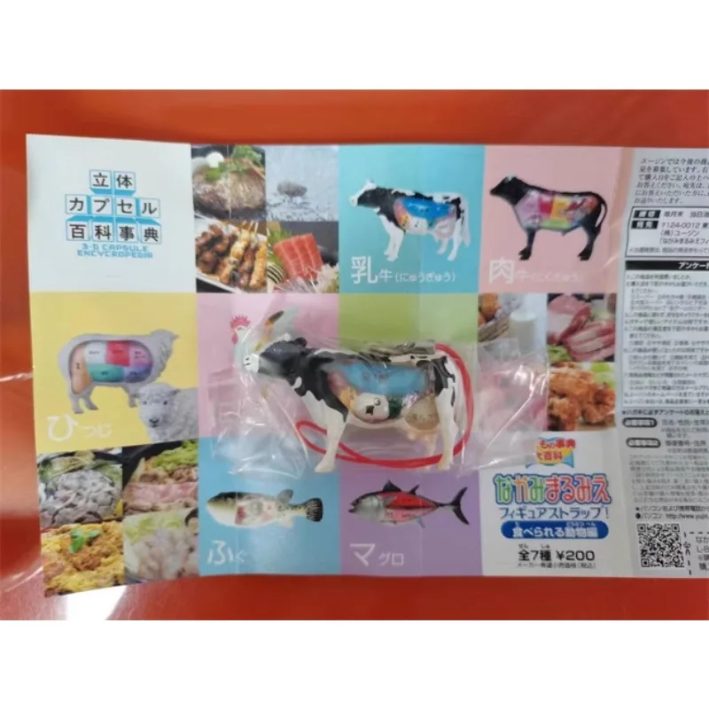 En Stock, enciclopedia para niños, figura de acción de anatomía Animal ilustrada, pez globo, pollo, modelo de Anime, juguete colgante, regalo