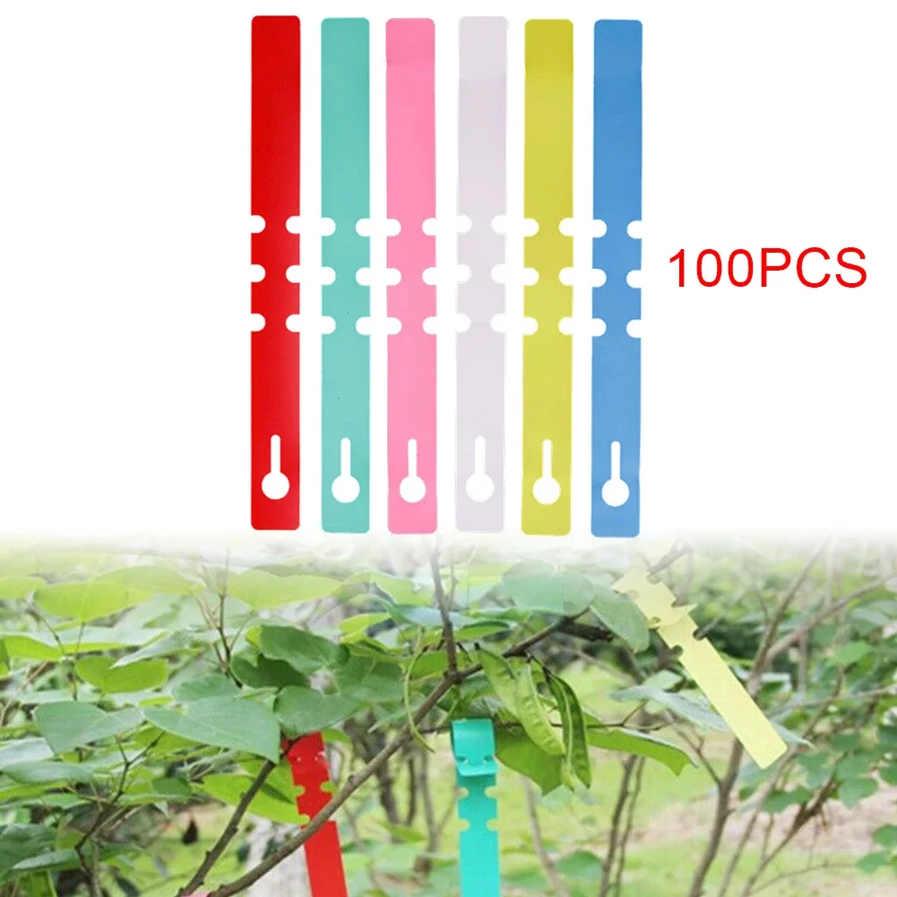 100PCS Plant Tags Garden Plant Tree Labels Hanging Name Tags Seed Nursery Marker Waterproof Gardening Accesorries