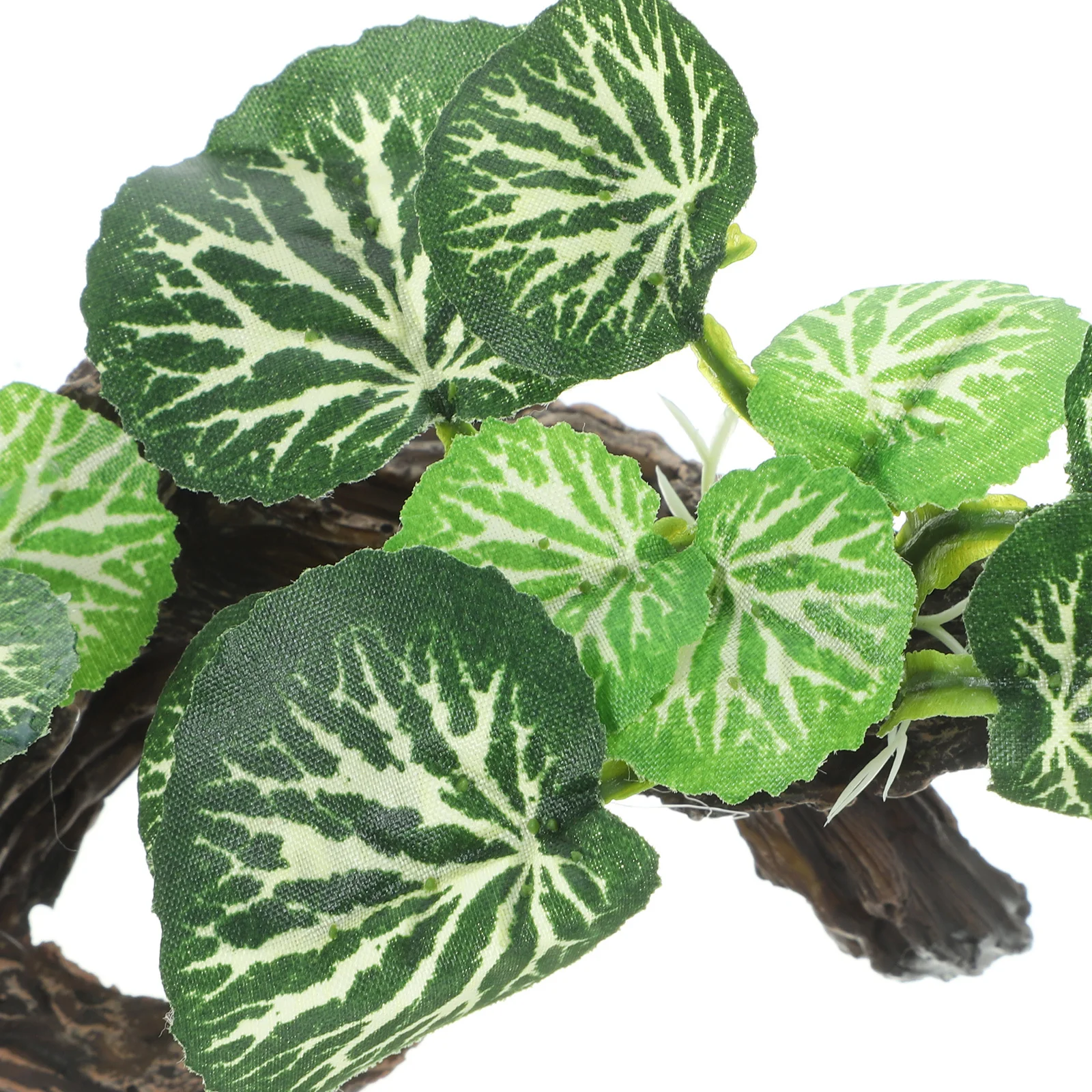 

Natural Looking Reptile Plants for Terrarium Rainforest Plant Decoration Artificial Plant Ornament for Lizard Box Aquarium