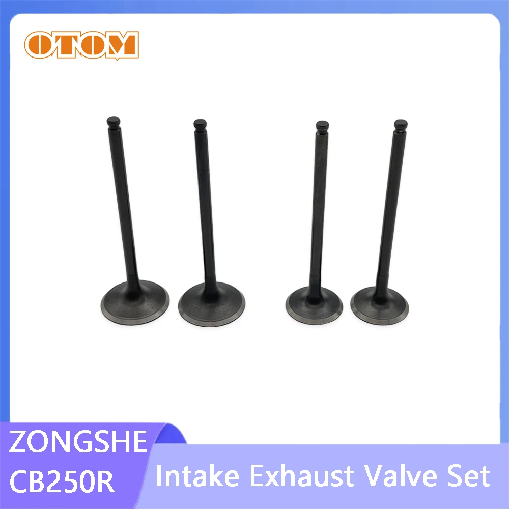 Otom Zongshen CB250…