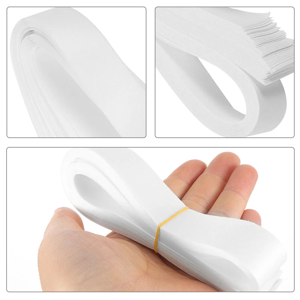 80 Pcs Coin Banknote Paper Currency Bands Straps Acetate Money Organizer for Cash