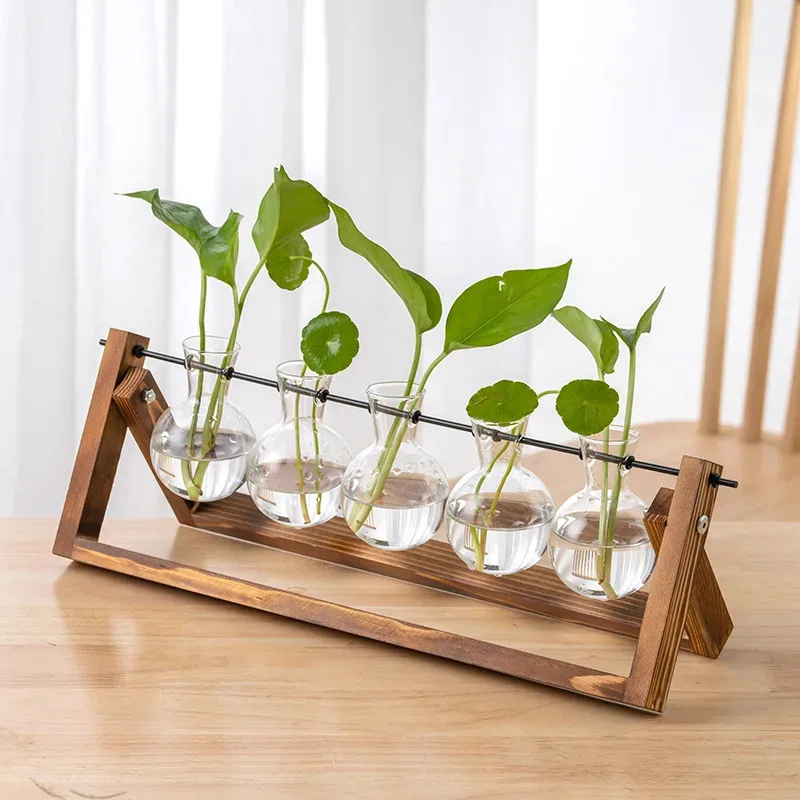 Desktop-Dekoration für Wohnzimmer und Büro – kreative hydroponische Glasvase mit Holzrahmen, moderne Verzierung für grüne Rettiche