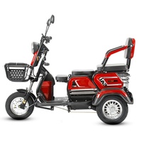 3 Wheel Mobility Scooter for Seniors 800W 60V 30AH Parents Child Electric Tricycles for Women 2 Adult Seats with Adjustable Seat