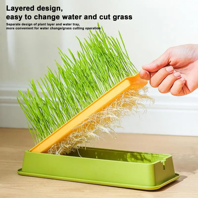 Cat Grass Growing Kit Layered Cat Plant Soilless Convenient Cat Grass Kit 4 Styles Pet Supplies Multifunctional For Veterinary