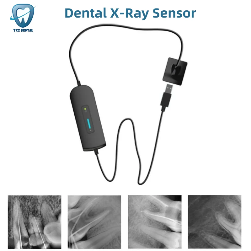 Dental X-Ray Sensor Radiovisiograph Portable Intraoral Rx Digital System 3m Cable For Dentistry Clinical Diagnosis Of Pulpe