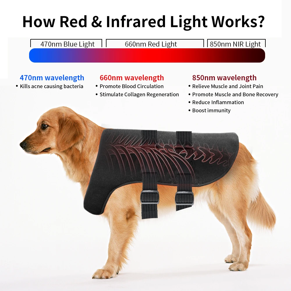 Large pet red light therapy belt, LED infrared light therapy, suitable for dogs and cats, equipped with 240 LEDs, wavelengths of
