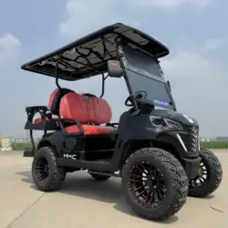 Super Torque Dual Shock Absorber Anti Rollover Customized Golf Cart Off Road Cart Multiple Seat Colors Motor Models To Choose