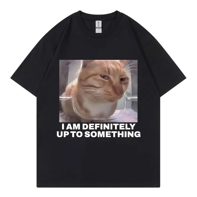 

I Am Definitely Up To Something Funny Cat Meme T-shirt High Street Fashion Trend T-shirts Men Women Casual Loose Cotton T Shirt