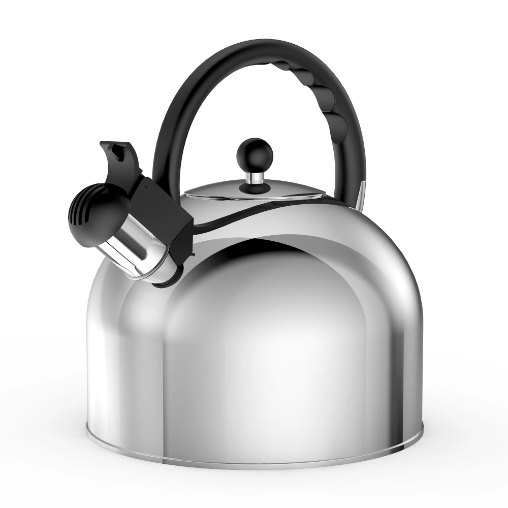 

Stainless Steel Whistling Tea Kettle, 3.17 Quart, Teapot for Stove top with Wide Mouth, Easy Pouring Spout and Ergonomic Handle