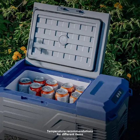 2V/24V/220V 차량용 냉장고, 트럭/RV/캠핑용 15L 휴대용 냉동고, -20도 ℃ ~20 ℃ 조절 가능, 에너지 효율, 저소음 컴프레서
