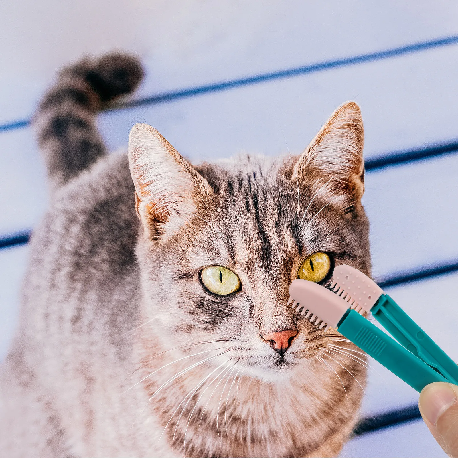 Набор из 2-х многофункциональных портативных расчесок для кошек: щетка для шерсти и расческа для удаления слезных пятен