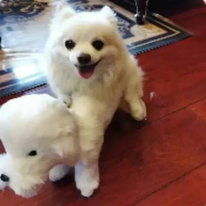 Dog Fidget Toys Soft Cuddly Interesting Sexual Interactive Dog Plush Toys Emotional Release Comfortable Pet Products Supplies