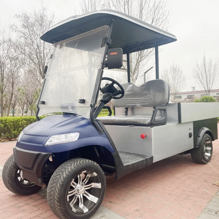 

With Solar Panels Electric Car Street legal Touch Screen Multimedia Off Road Beach Buggy Rapid Delivery Golf Trolleys Electric