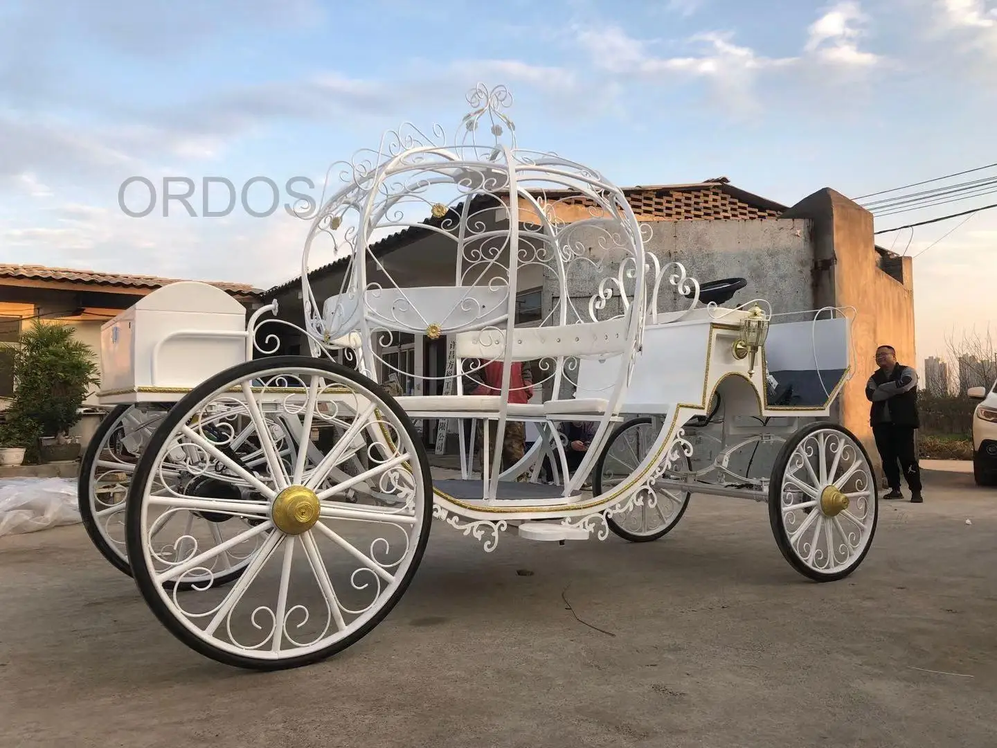 2024 OEM Cinderella horse carriage for sale Factory Price Hollow pumpkin carriage Customized Beautiful modern horse carriage