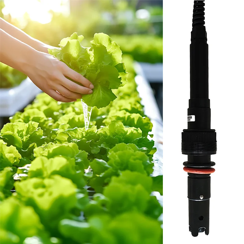 Digital Calcium Ion Sensor Water Hardness Sensor for Hydroponics Online Ca2+ Monitor with High Accuracy Temperature Compensation
