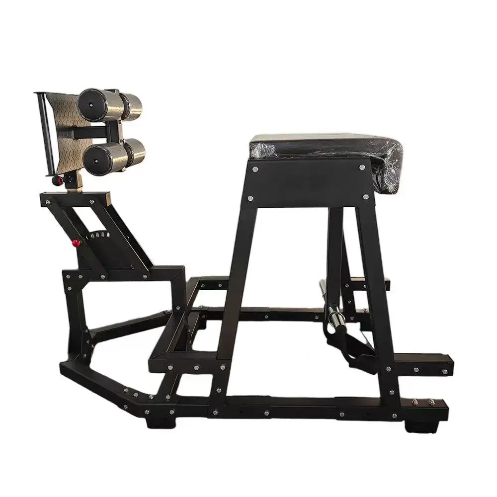 Commercial Reverse Hyperextension Roman Chair Gym Fitness Equipmentpromote sales