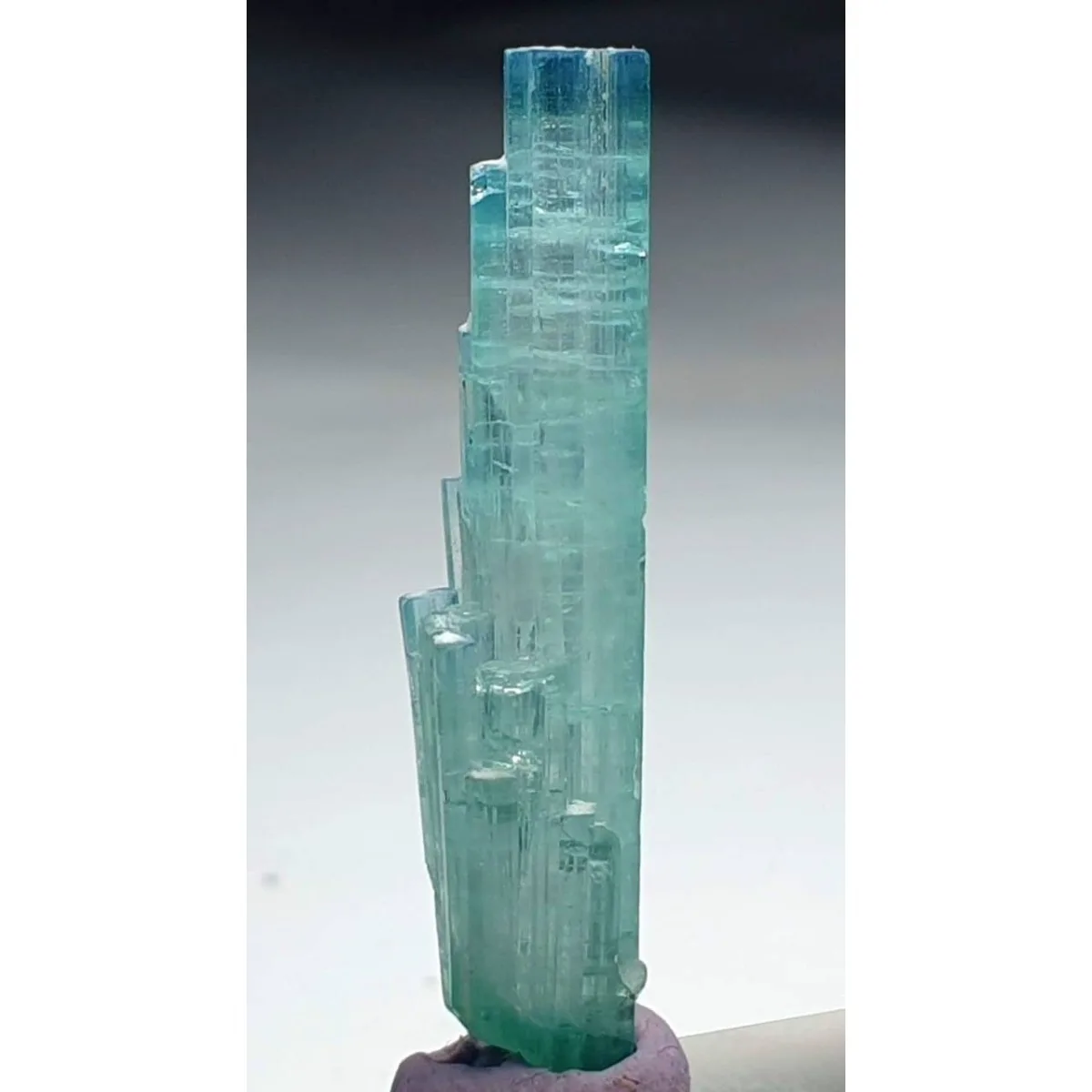 Brazilian Elbaite Stone Specimens, 10g 5-15mm Color Mix, Display Box for Mineral Collection