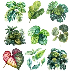 Green Leaf DTF Heat Transfer Print Turtle Back Bamboo Landscape Plants Stickers for Clothing Heat Transfer Iron On T-Shirt Vinyl