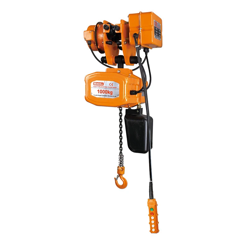 1/2/3/5/10/20TON remote control winch Lifting 220V 380V HHBB Electric Chain Hoist block crane hoist 3m 6m 9m with trolley price