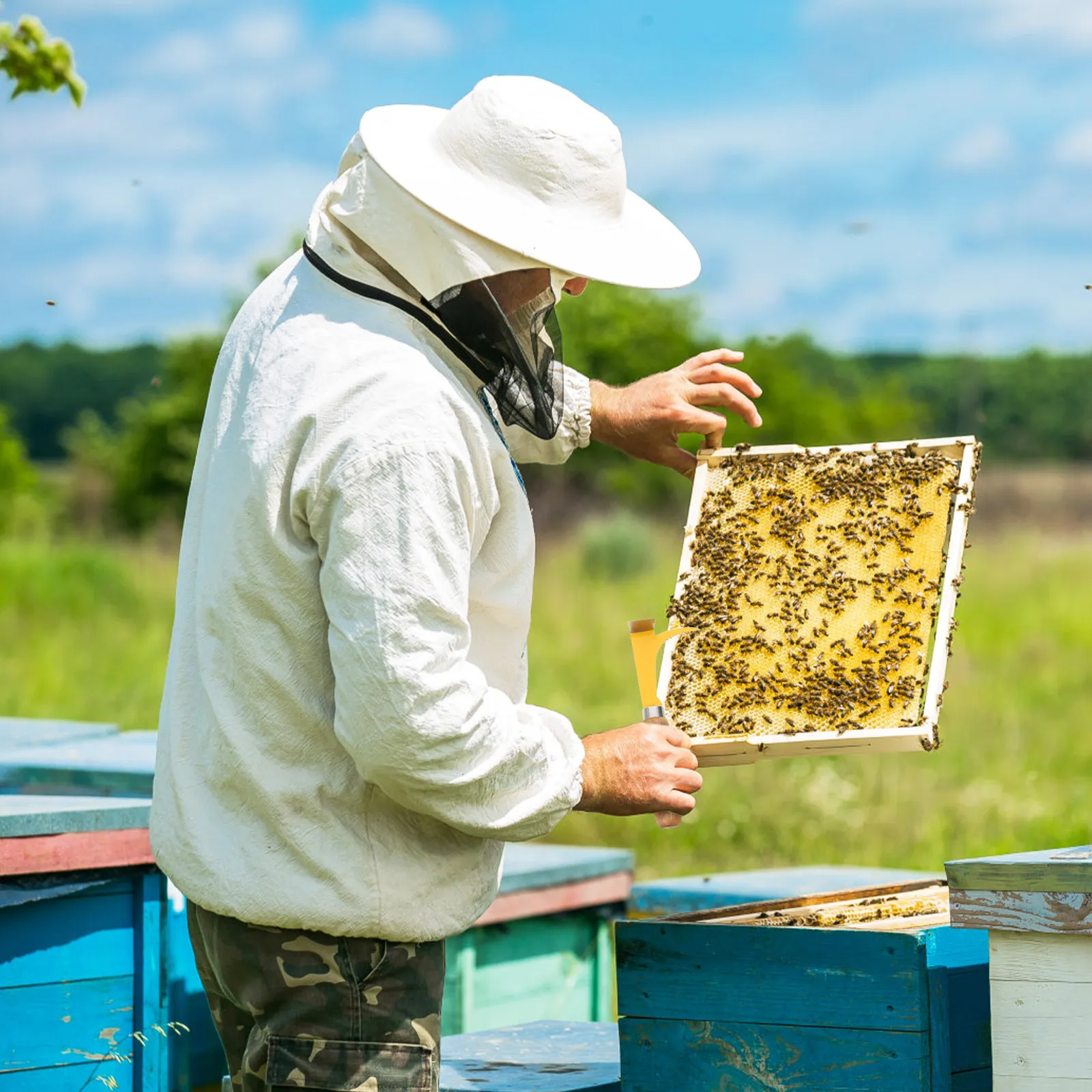 木製ハンドル付き、ステンレス製の2本セット。蜂の巣のフレーム - Beehive Frame Wax のレビューと価格