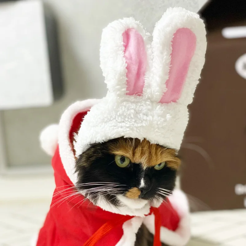 New Funny Pet Dog Cat Cap Costume Warm Rabbit Hat New Year Party Christmas Cosplay Accessories Photo Props Headwear