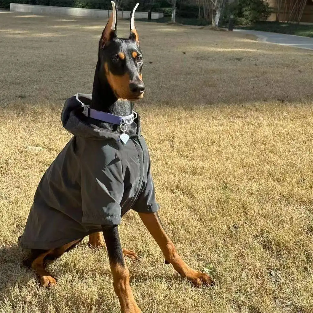 

Осенне-зимняя одежда для крупных собак: стильная светоотражающая толстовка для дубинов, самойедов и других средних и крупных пород, куртка для прогулок.