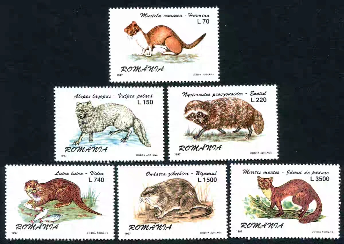 All New Romania Pos…