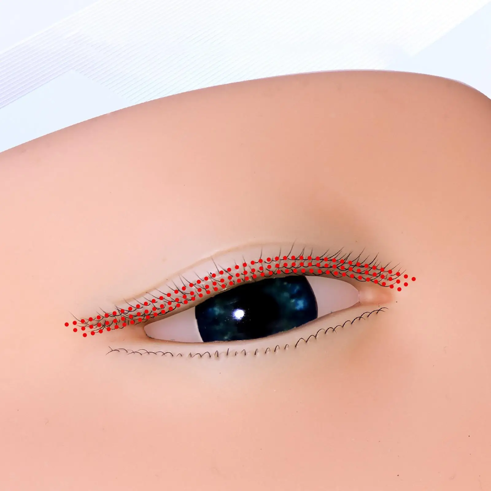 Soft Artificial Practice Skin Training Eyelash Model 3D Silicone Mannequin for Lash Extension Tools Beginners