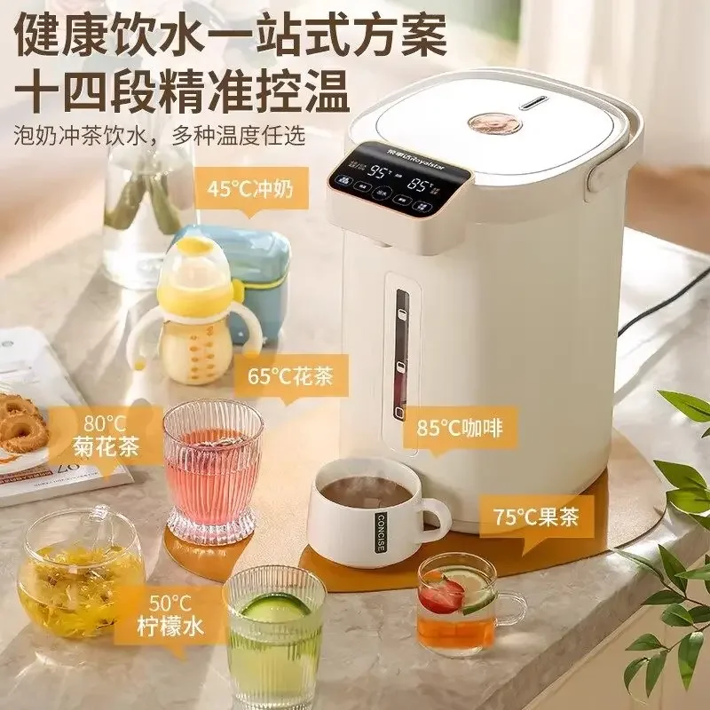 

220V Royalstar Desktop Water Dispenser Small Household Thermostatic Insulated Hot Water Kettle Direct Drinking Machine WCD